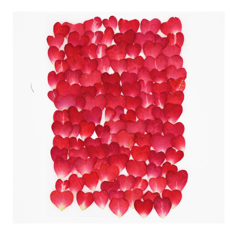 Resin Art Rose Petals - Lot de 120 pétales de rose