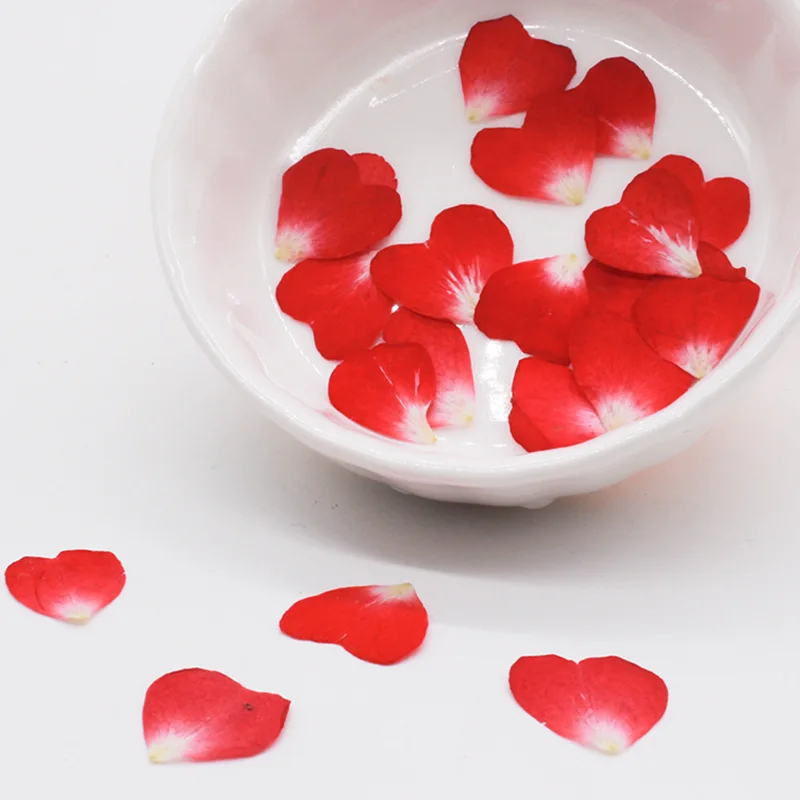Resin Art Rose Petals - Véritables pétales de fleurs de coeur