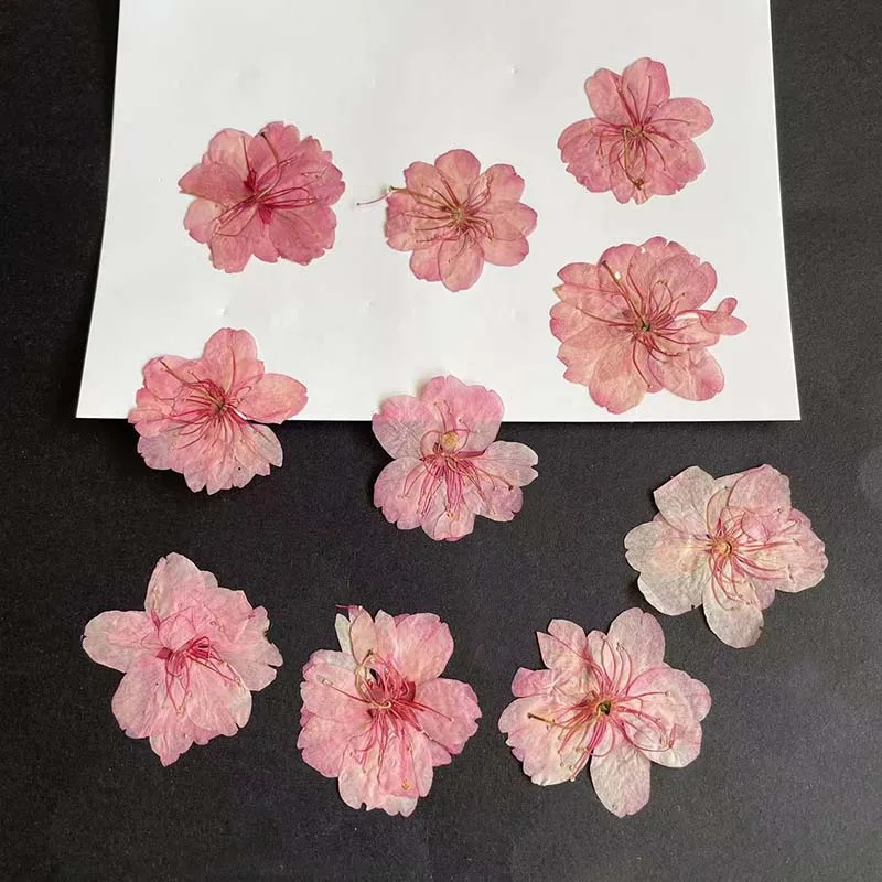 Resin Art Rose Petals - Fleur de cerisier à cinq pétales