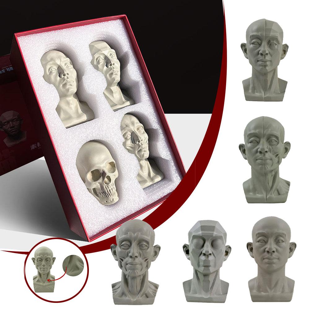 Plâtre de simulation de portra - Resin Art Learning avis et prix