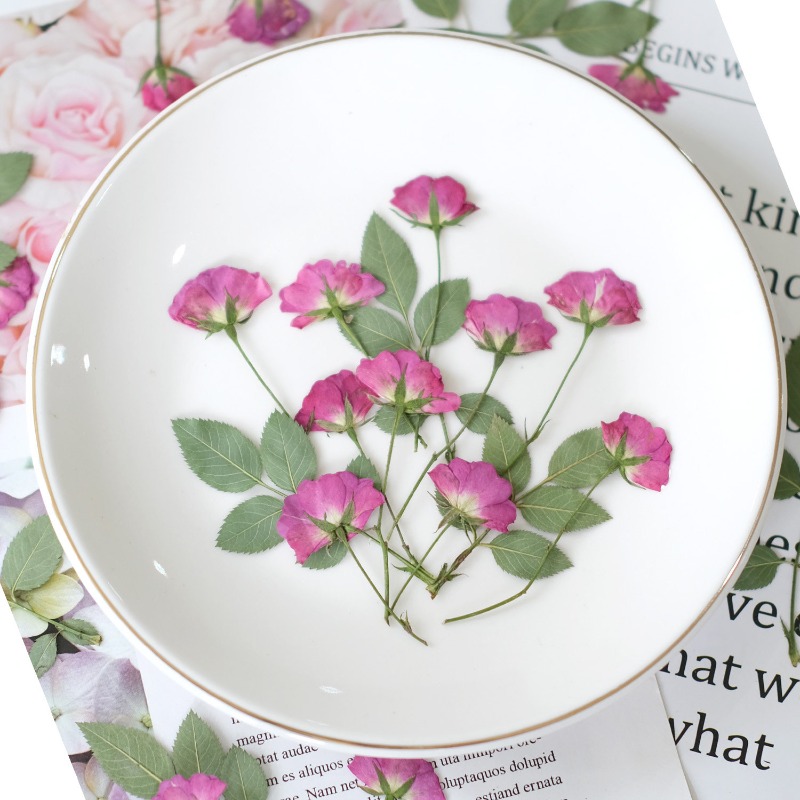 12 pièces, véritables mini-ros - Resin Art Rose Petals avis et prix