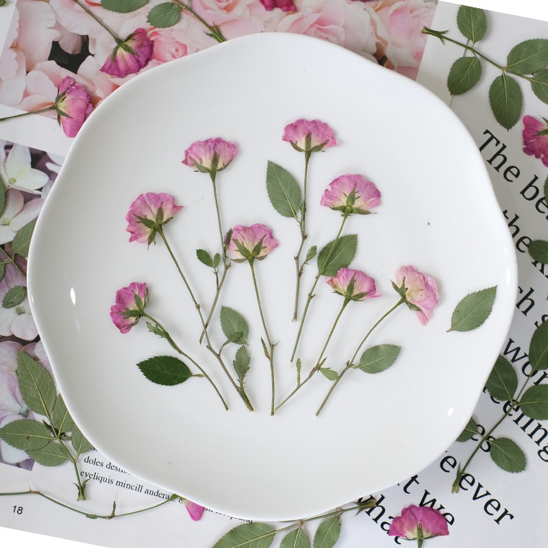 12 pièces, véritables mini-ros - Resin Art Rose Petals avis et prix
