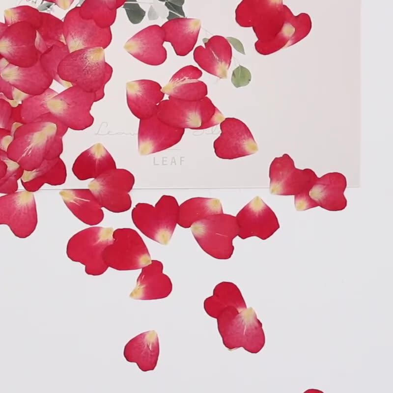 Lot de 120 pétales de rose mél - Resin Art Rose Petals avis et prix