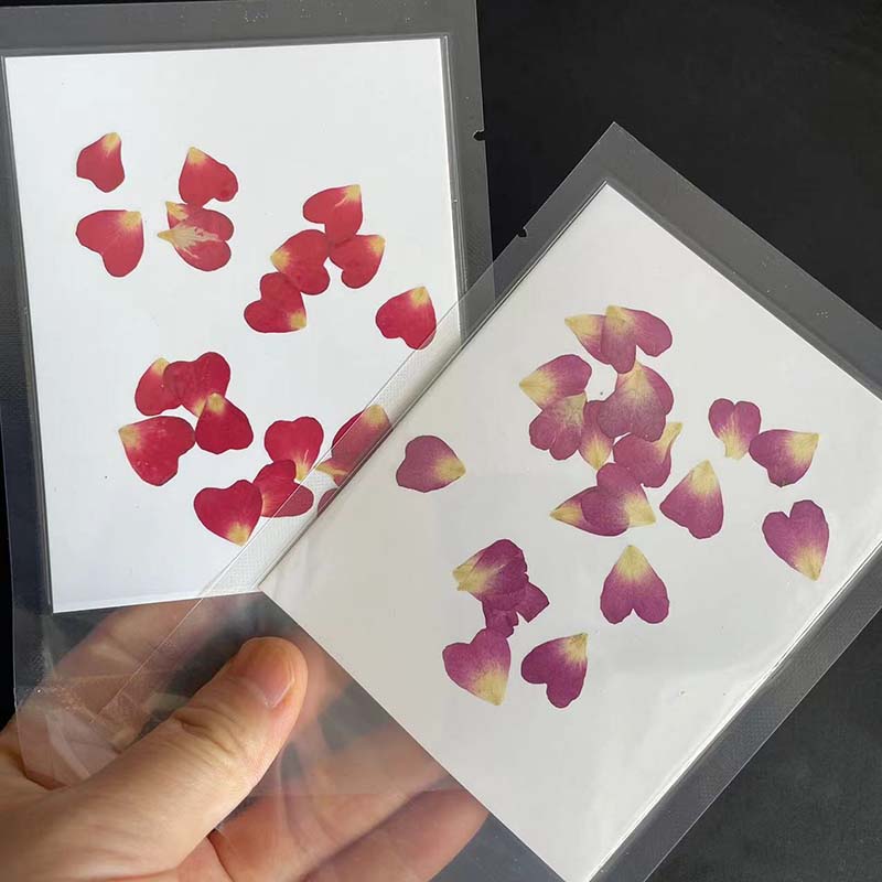 Véritables pétales de fleurs d - Resin Art Rose Petals avis et prix