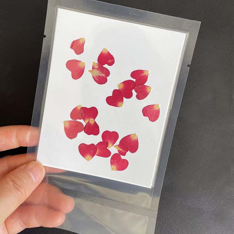 Véritables pétales de fleurs d - Resin Art Rose Petals avis et prix