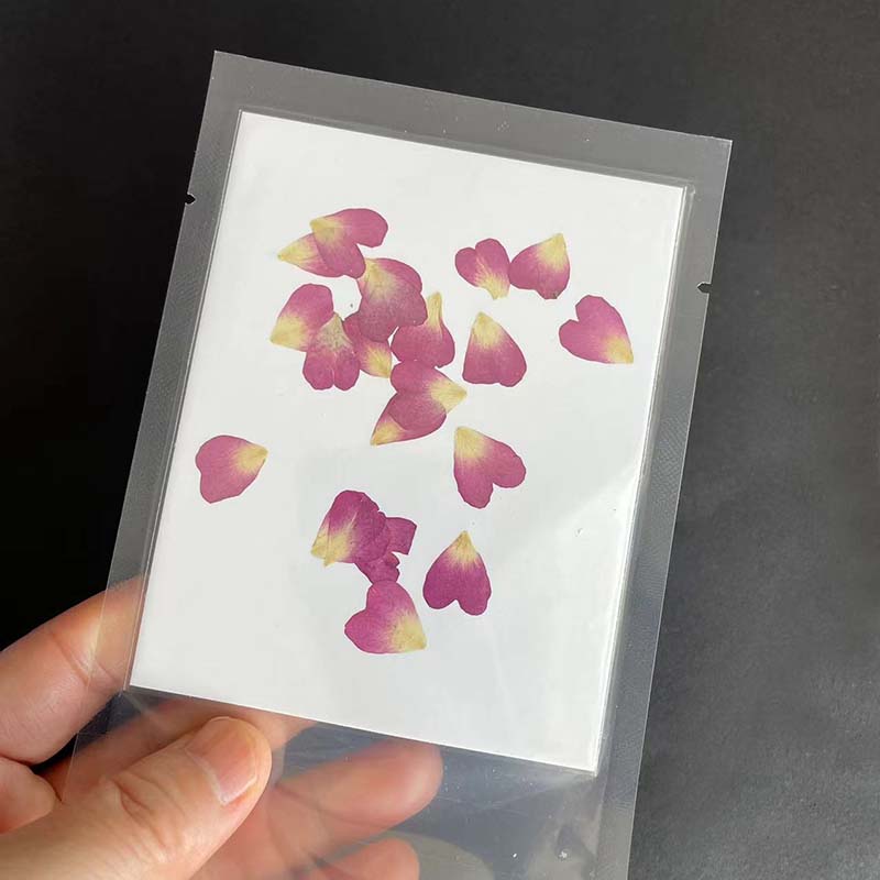 Véritables pétales de fleurs d - Resin Art Rose Petals avis et prix