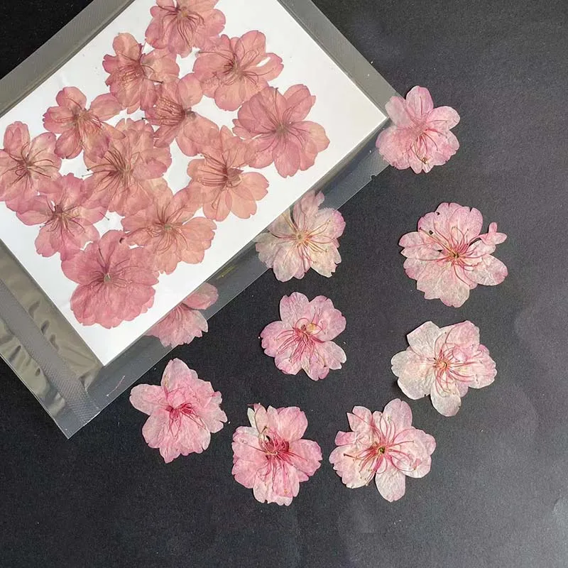 Fleur de cerisier à cinq pétal - Resin Art Rose Petals avis et prix