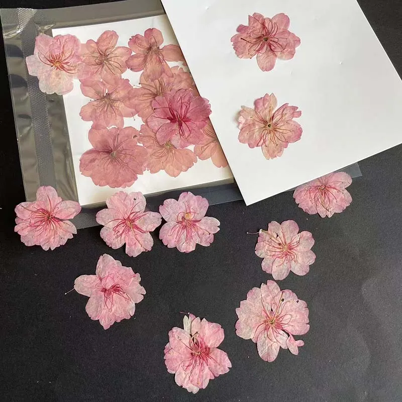 Fleur de cerisier à cinq pétal - Resin Art Rose Petals avis et prix