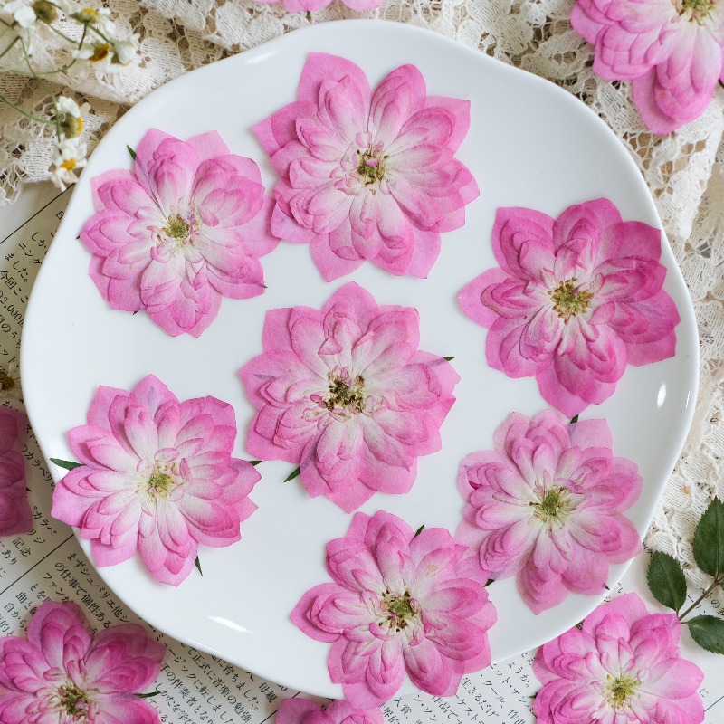 6 pièces, fleurs séchées press - Resin Art Rose Petals avis et prix